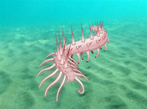  Queteletia! Un gusano marino con una armadura impresionante que se mueve con elegancia en las profundidades del océano