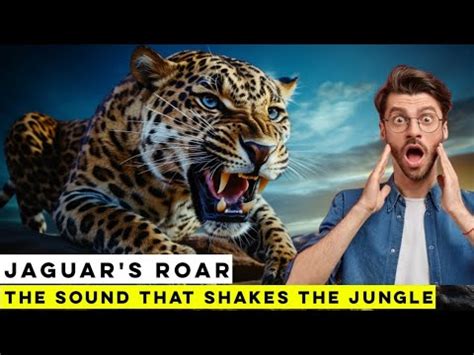  ¿Jaguar: Un cazador sigiloso con un rugido que sacude la selva?